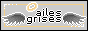aisles grises